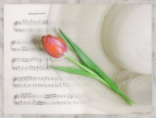 Нежный праздник песня. Тюльпаны и Ноты. Тюльпаны нотки. Мелодия весны.