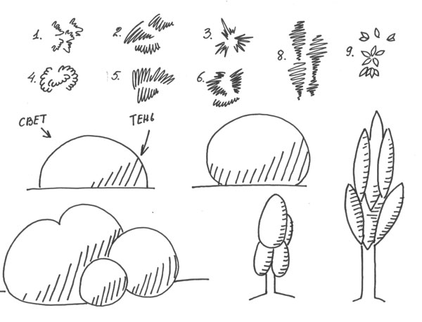 Как рисовать кустарник