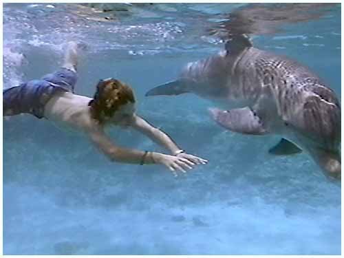 Flipper Boy Video