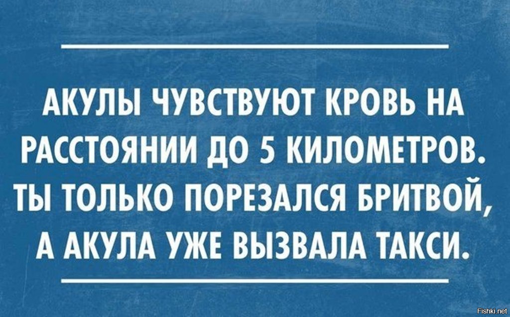 Чувствую. Акула чувствует кровь на расстоянии. Акула чует кровь на расстоянии.