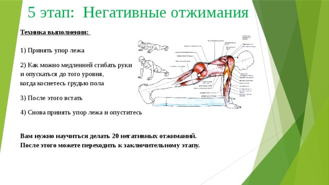 Презентация на тему отжимания