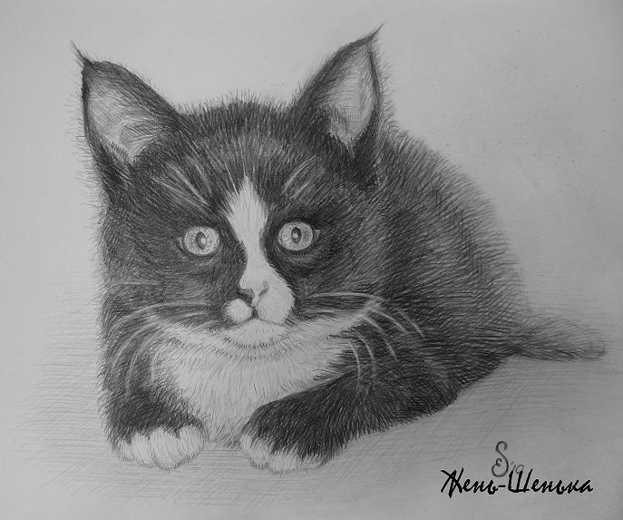 Рисунок животного углем